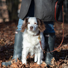 Load image into Gallery viewer, The Oxford Lead - Black