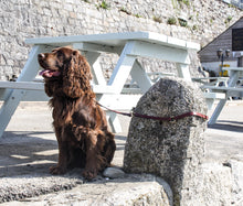 Load image into Gallery viewer, The Woodstock Lead - Dark Brown