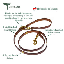 Load image into Gallery viewer, The Oxford Slip & Lead - Dark Brown