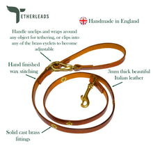 Load image into Gallery viewer, Professional Slip Lead for Dogs - Heavy-Duty Training & Walking Leash