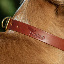 Load image into Gallery viewer, Tan Leather Dog Collar