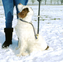 Load image into Gallery viewer, The Woodstock Lead - Black