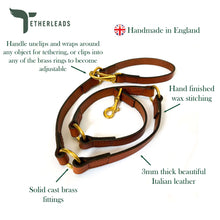 Load image into Gallery viewer, Woodstock Slip & Lead - Special Edition Peanuts Climbing Rope Leash