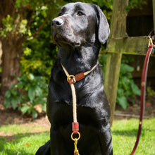 Load image into Gallery viewer, Dark Brown Rope Slip Collar

