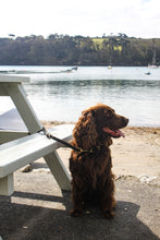 Load image into Gallery viewer, The Woodstock Lead - Black
