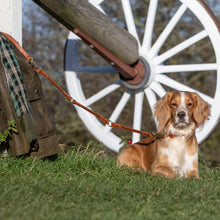 Load image into Gallery viewer, The Woodstock Lead - Dark Brown
